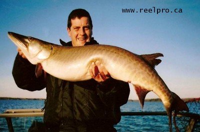 A Reelpro Fishing Charter