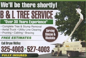 B & L Tree Service