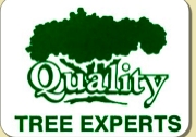 Quality Tree Experts