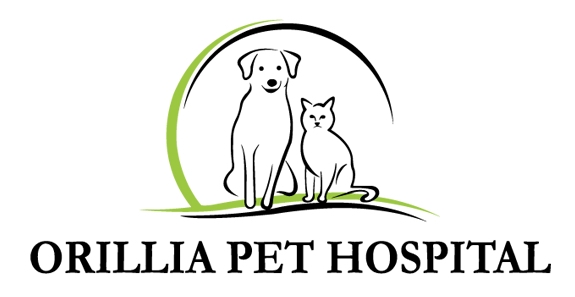 Orillia Pet Hospital