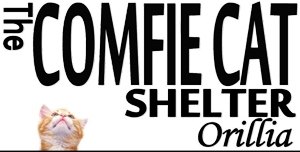 The Comfie Cat Shelter