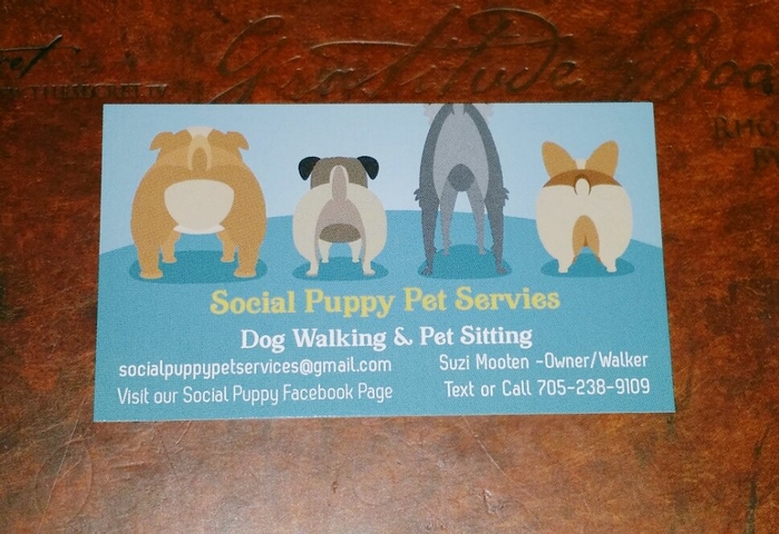 Social Puppy Pet Services