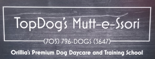 Top Dog's Mutt-e-Ssori - K9 Training & Day Care Services